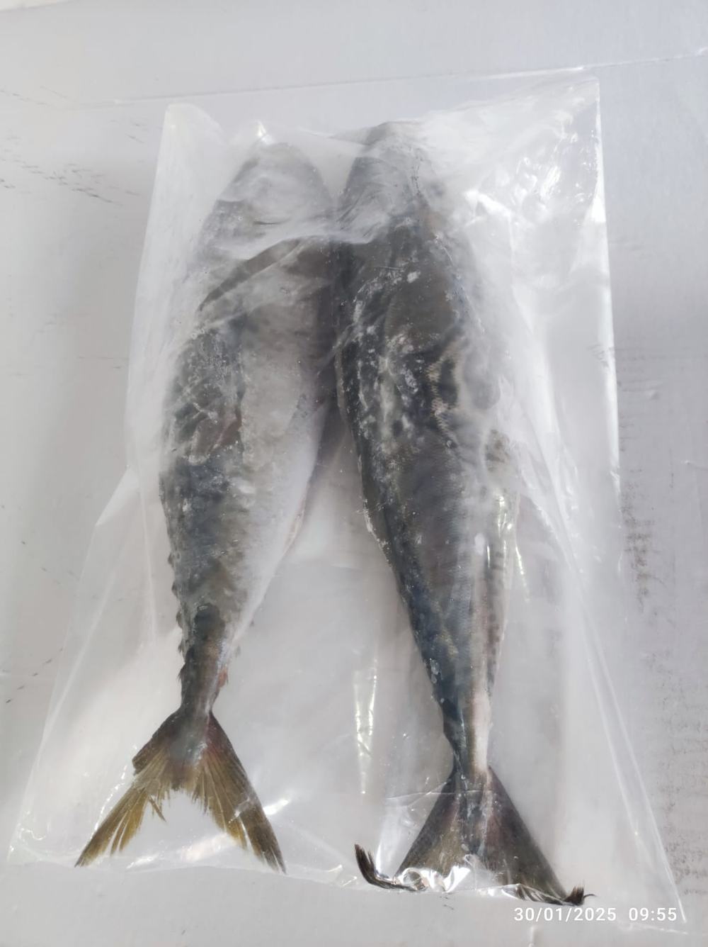 Chinchard — Entier en sachet, photo 3