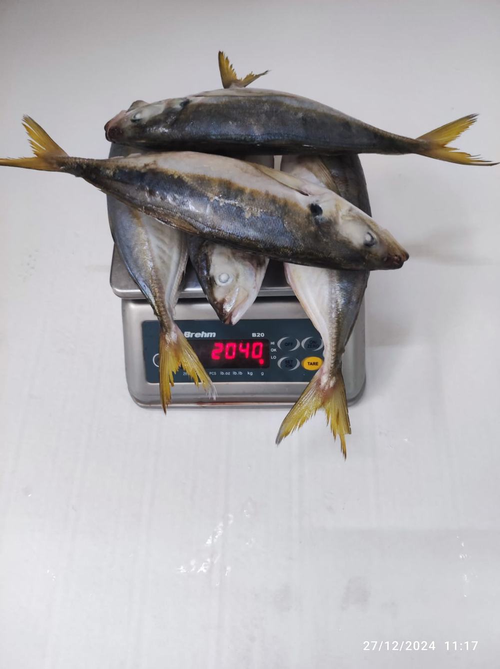 Chinchard — Entier en sachet, photo 6